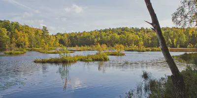 Änggårdsbergens Naturreservat 2011 | Photo: Bolstermage (CC BY-SA 3.0)